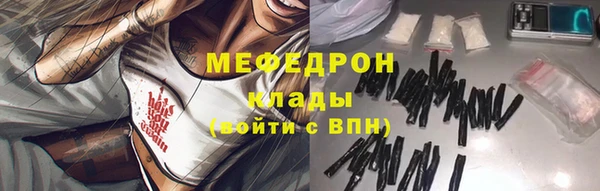 индика Гусев