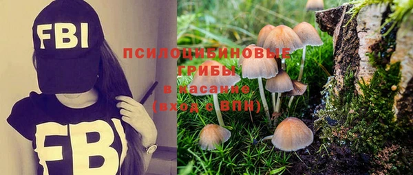 ПСИЛОЦИБИНОВЫЕ ГРИБЫ Каменка